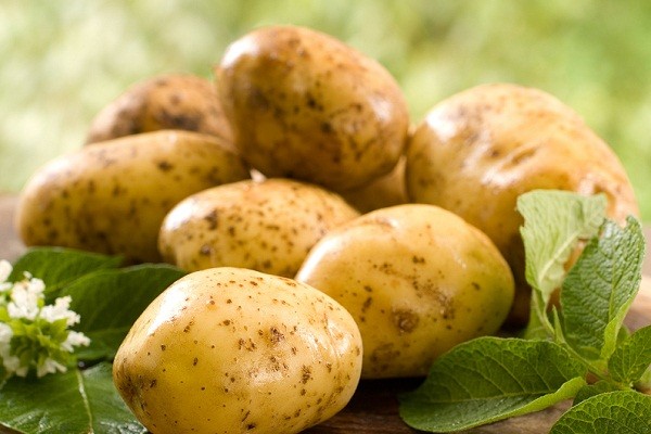 Latvijā ražots kartupelis